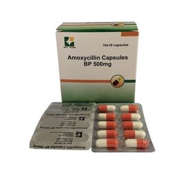 GMP Farmaceutische Amoxycillin Capsules 500 Mg